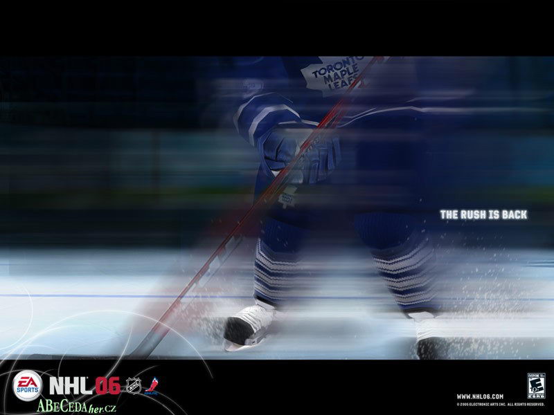 nhl4.jpg